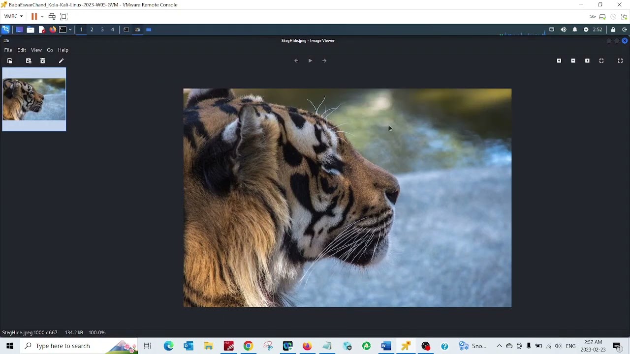 Steghide on Kali Linux: Hide Text in Images 🖼️