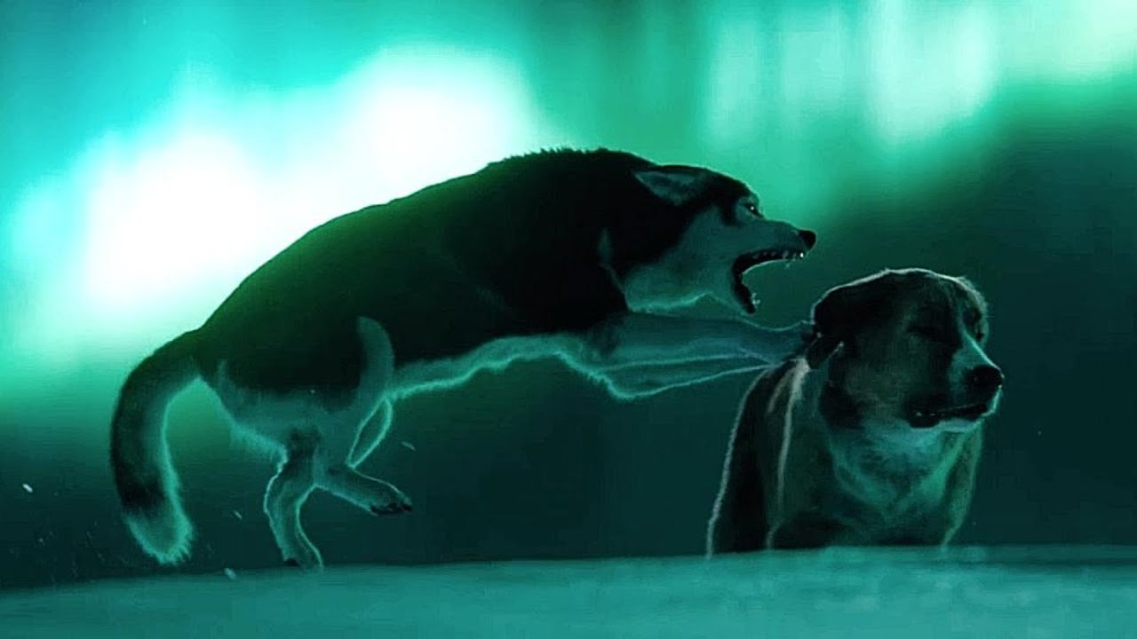 The Call of The Wild: Spitz vs Buck | Ruling the Pack 🐺