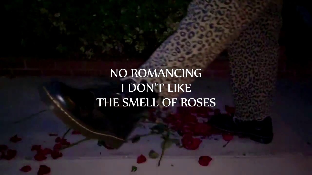 ACOT Romance: A Tale of Love and Adventure