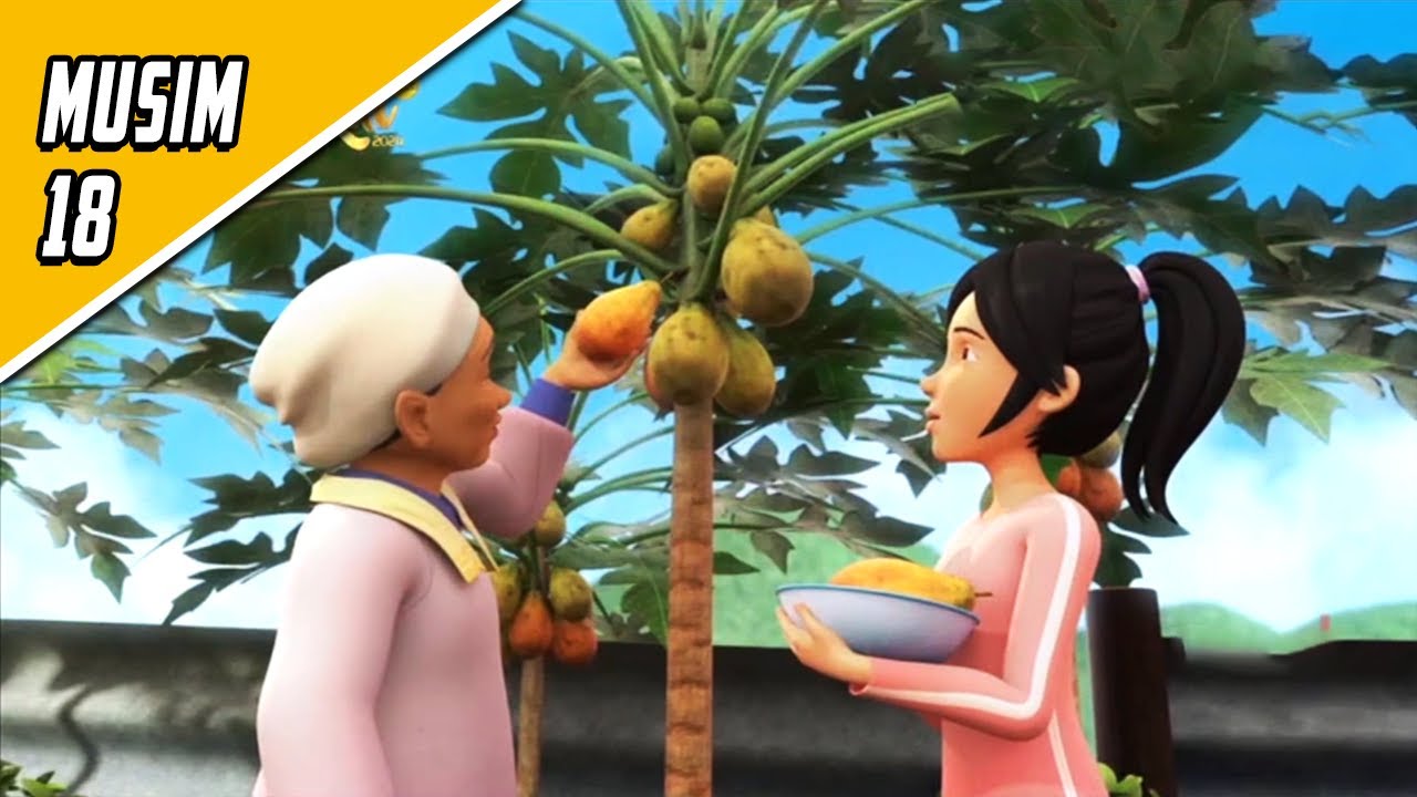 Upin & Ipin Musim 18 Full Movie - Panen Buah Pepaya | Upin Ipin Terbaru 2024