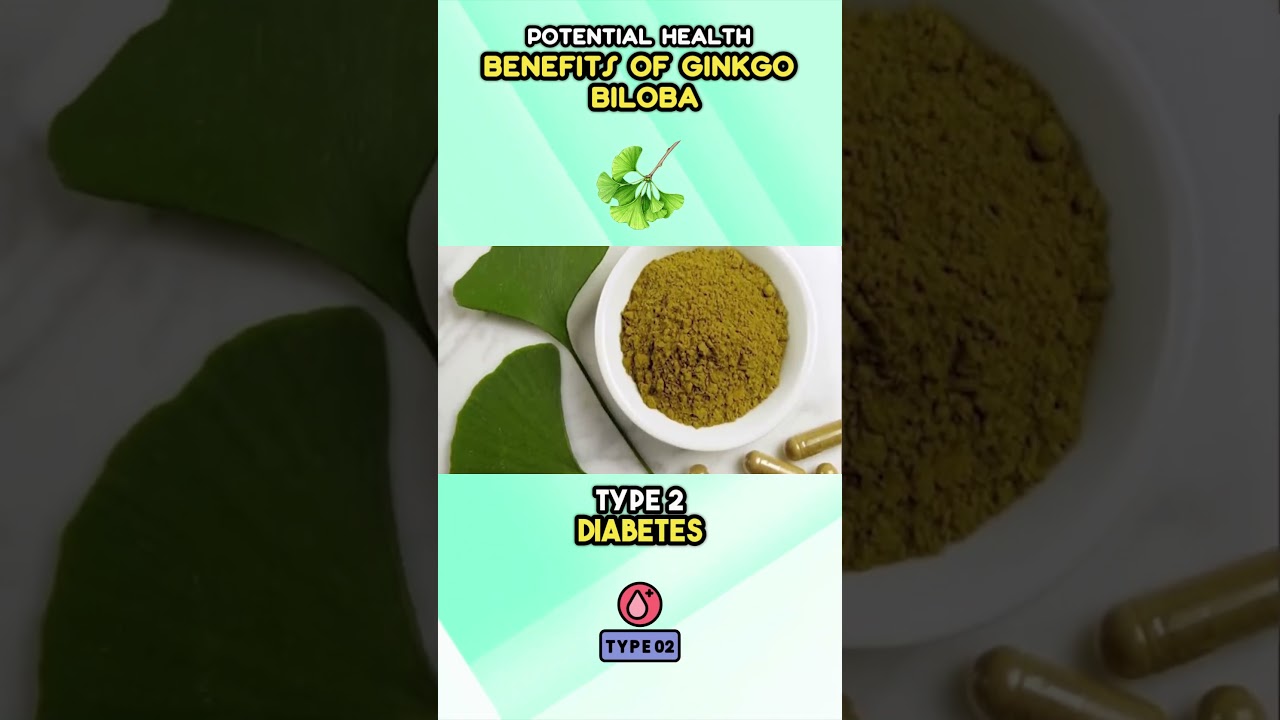 Ginkgo Biloba's Potential Health Benefits 🌿