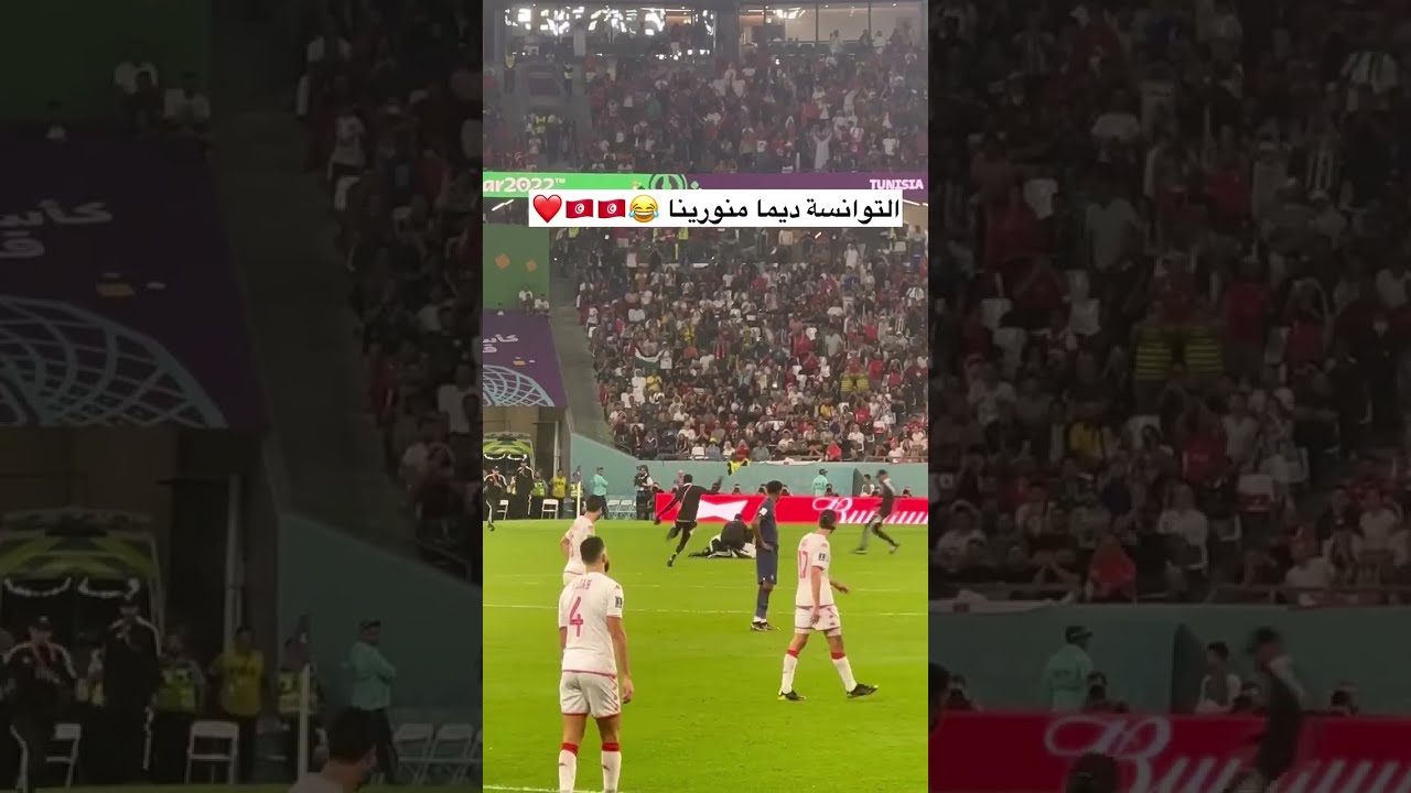 Tunisie Defeats France 1-0 in FIFA 2022 World Cup