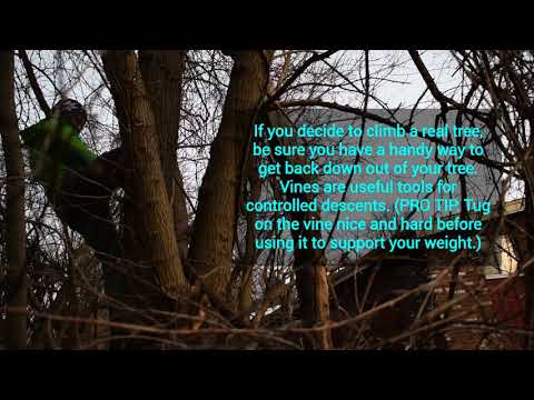 CIT100, Week 2, Seg 4: Making File Trees