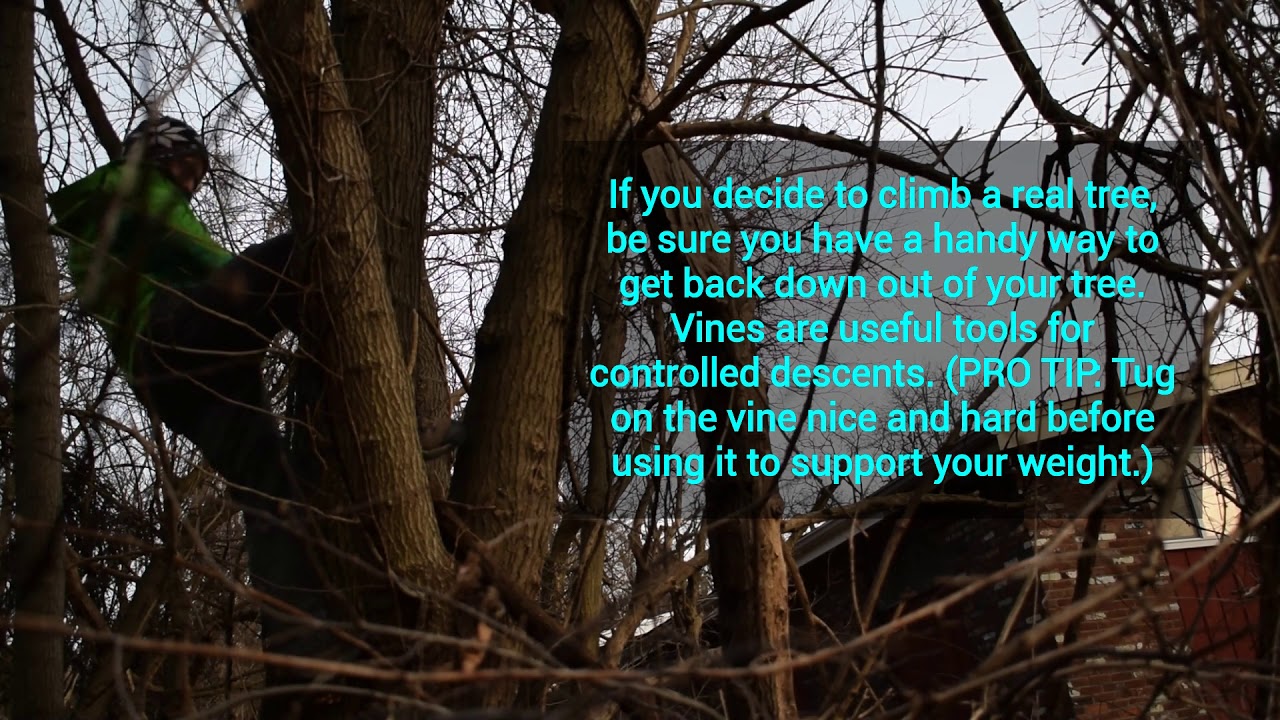 CIT100, CIT100 Week 2: Easy Guide to Creating Digital File Trees π³