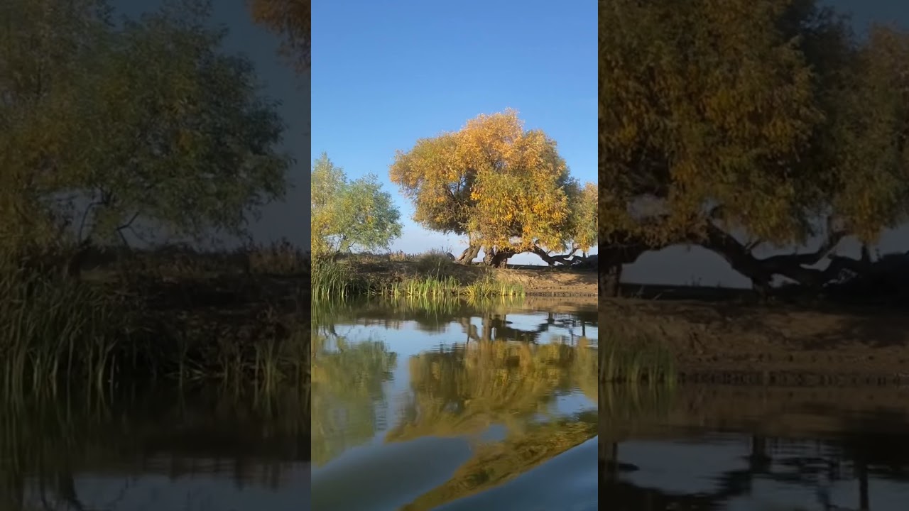 Beautiful River Landscapes in Astrakhan 🌅
