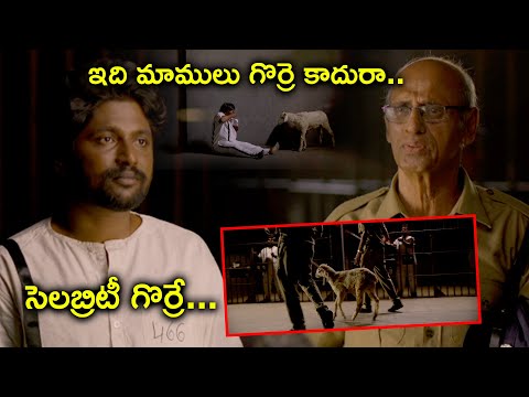 మాములు గొర్రె కాదురా సెలబ్రిటీ గొర్రే | Gorre Puranam Telugu Movie Scene | Suhas | Pawan Ch