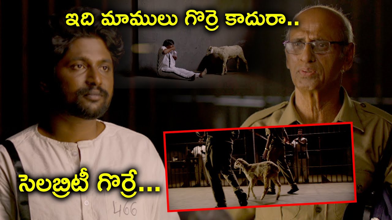 మాములు కాదు, సెలబ్రిటీ గొర్రె! | Gorre Puranam తెలుగు సినిమా సీన్స్ 🐑