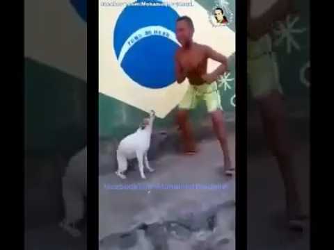 Fokaha 2017: Key Highlights and Insights