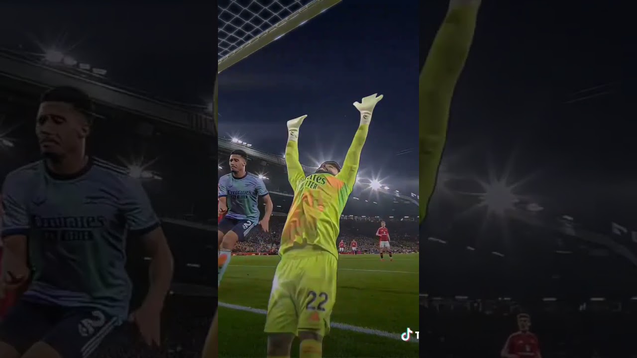 Arsenal's David raya best goal keeper itw?? #football #arsenal #edit