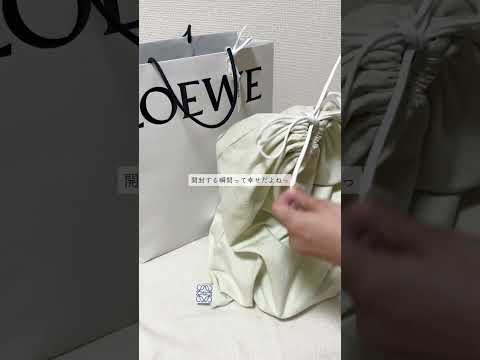 もうこのバッグの流行りおしまい ...🤔？#loewe #購入品 #購入品紹介 #開封動画