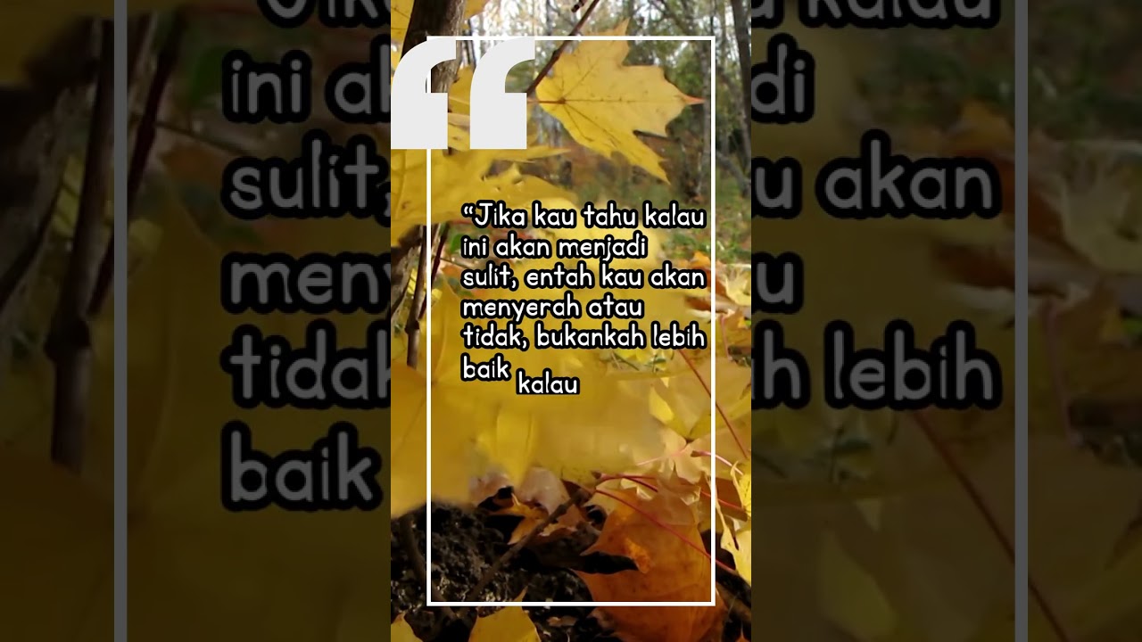 Quotes from Welcome To Waikiki 2 🎬