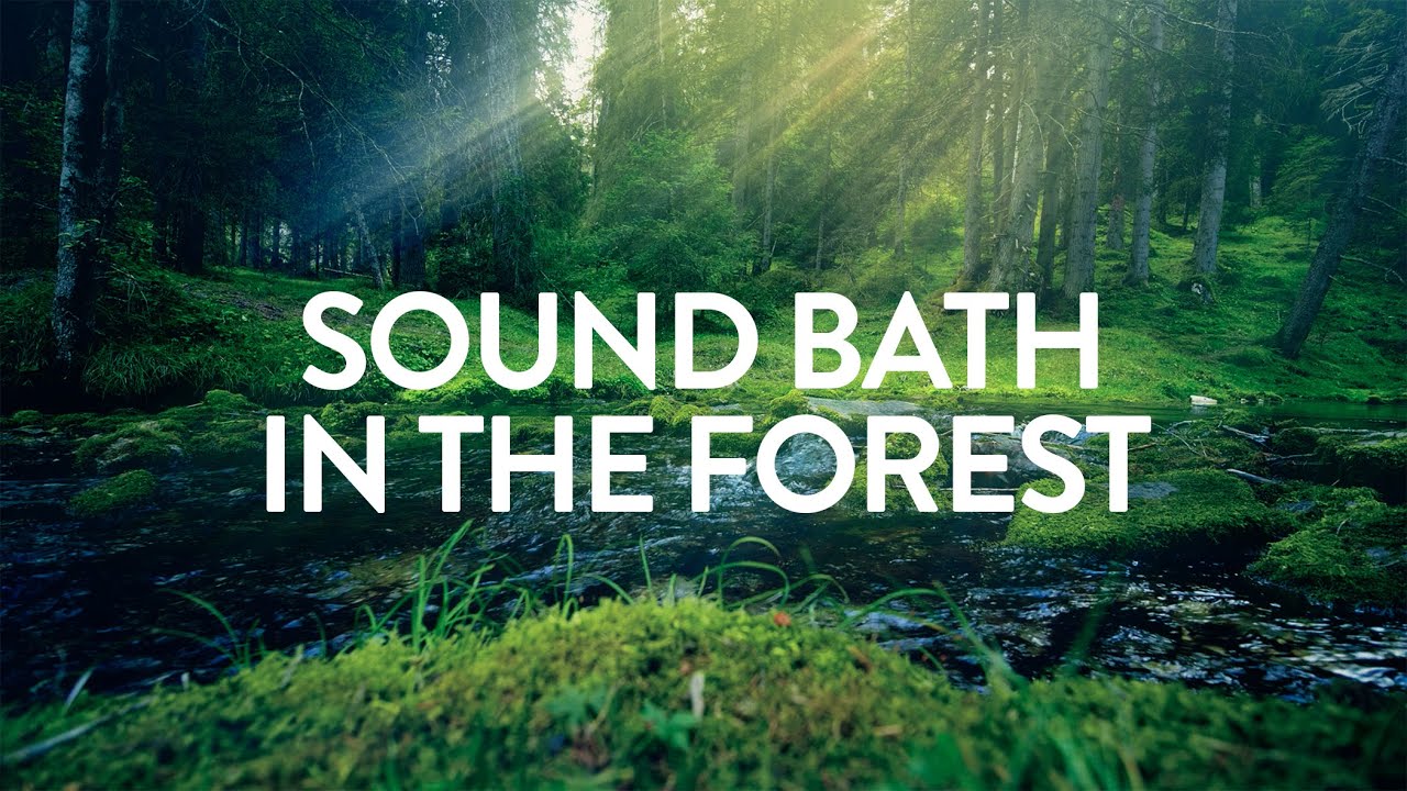Forest Sound Bath 432Hz for Relaxation 🌲