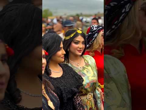 What is tha life of Dubai's Sheikhs like😍