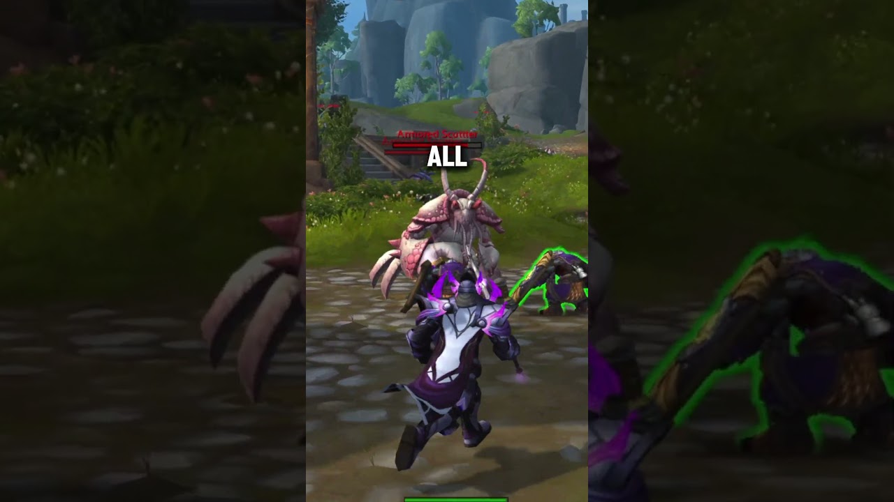 The Craziest WoW Feature 🚀