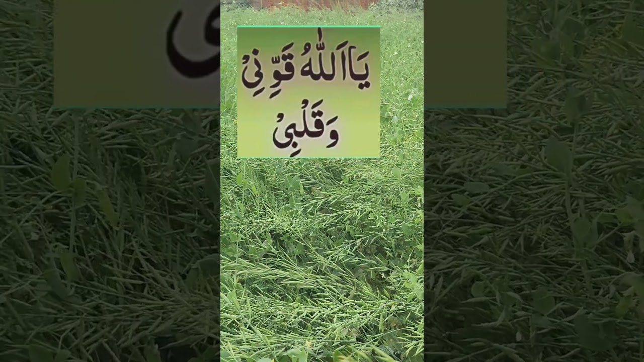 Kabhi Pareshan Nahi Hogi 🤲