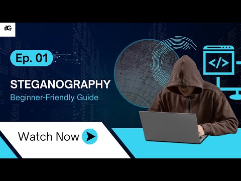 Steganography For Cyber Security Day 01 || Sonargaon University Cyber Security Batch 01