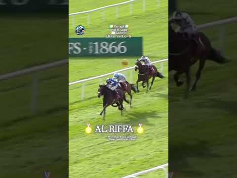 Melbourne Cup-Bound AL RIFFA wins in Irish St Leger😎🥇