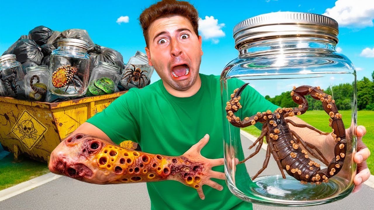 Picada de inseto estranho no lixo! 🐞