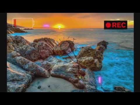 Dark Sensei - Karma (Official lyric video) by The Beast Entertainment