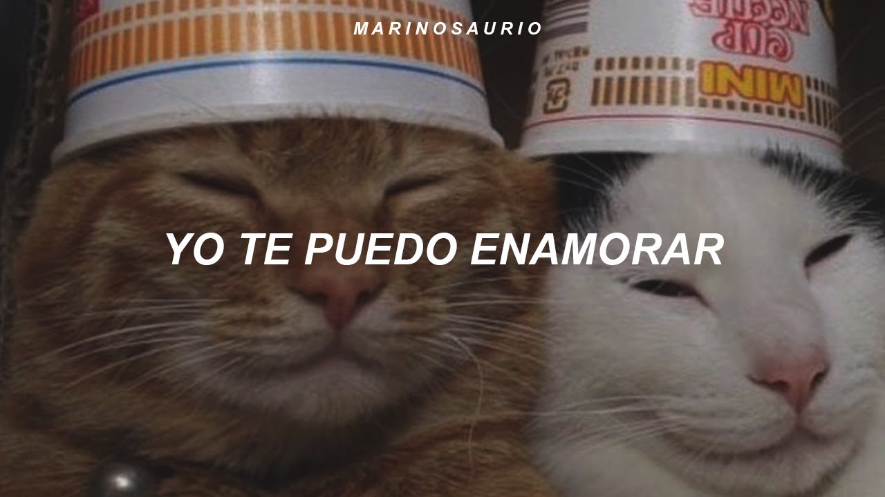 Matisse - Más Que Amigos (Letra) 🎶