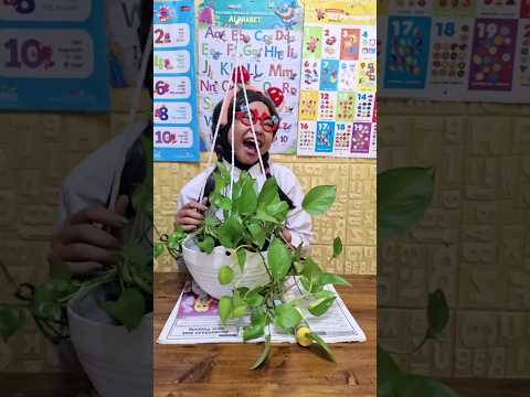 BAWA TANAMAN KE SEKOLAH | DRAMA KOMEDI NURRAYNI25 #dramaanaksekolah