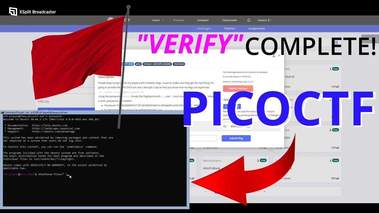PicoCTF 2025: Solve Your First Cybersecurity Challenge 🕵️‍♂️