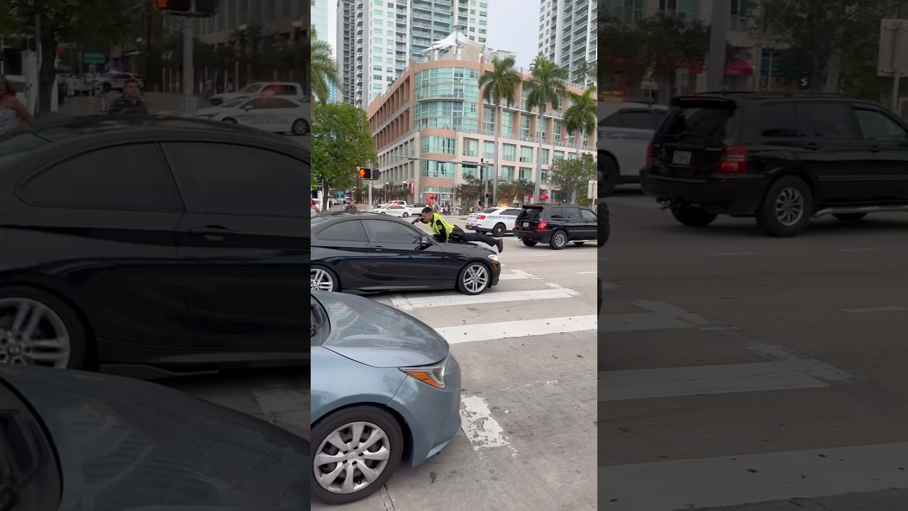 Experience Miami Life: Real-Time Police and City Updates 🚓