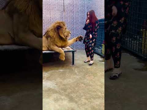 Mufasa kehta chal bhag (mian saqib)