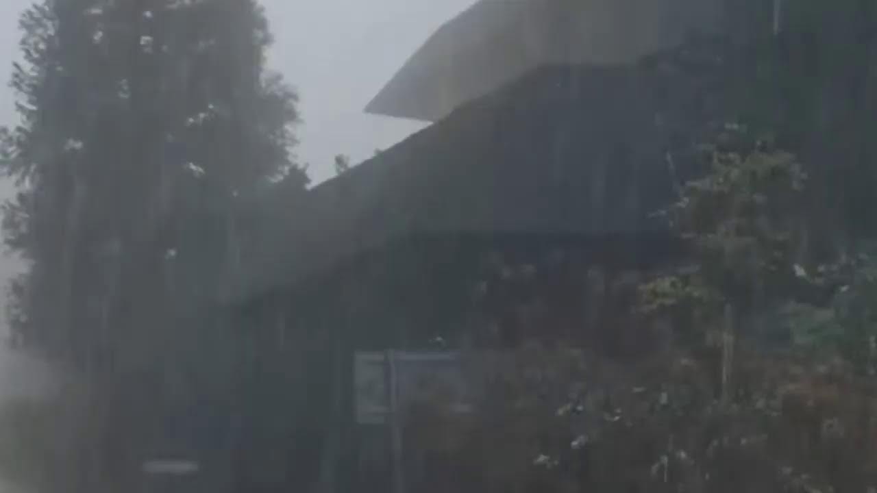 Balti - Dima Mechi 🎶 Official Music Video