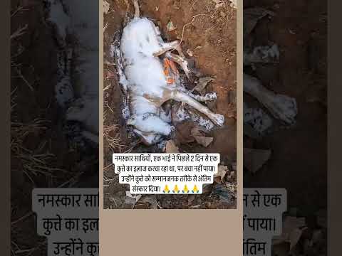 गाड़ी थोड़ी देख कर चलाया करो 🙏🙏टक्कर मार के भाग जाते हैं लोग