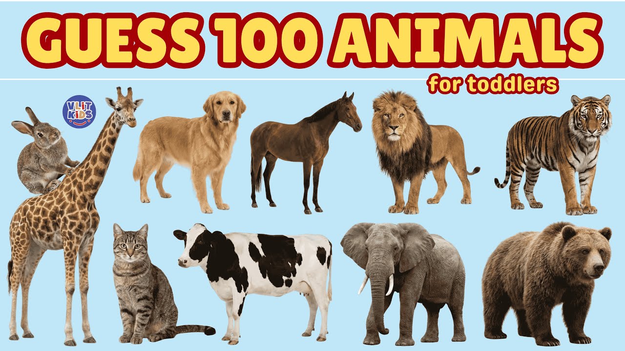 100 Animals for Toddlers | Guess the Animal Names for Kids | Fun English Vocabulary Learning