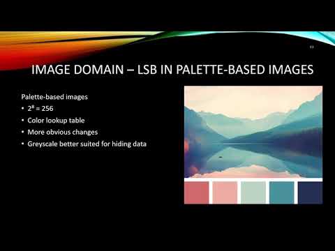 An Overview of Image Steganography