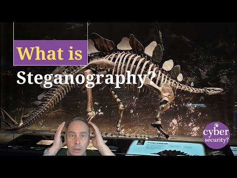 What is steganography?