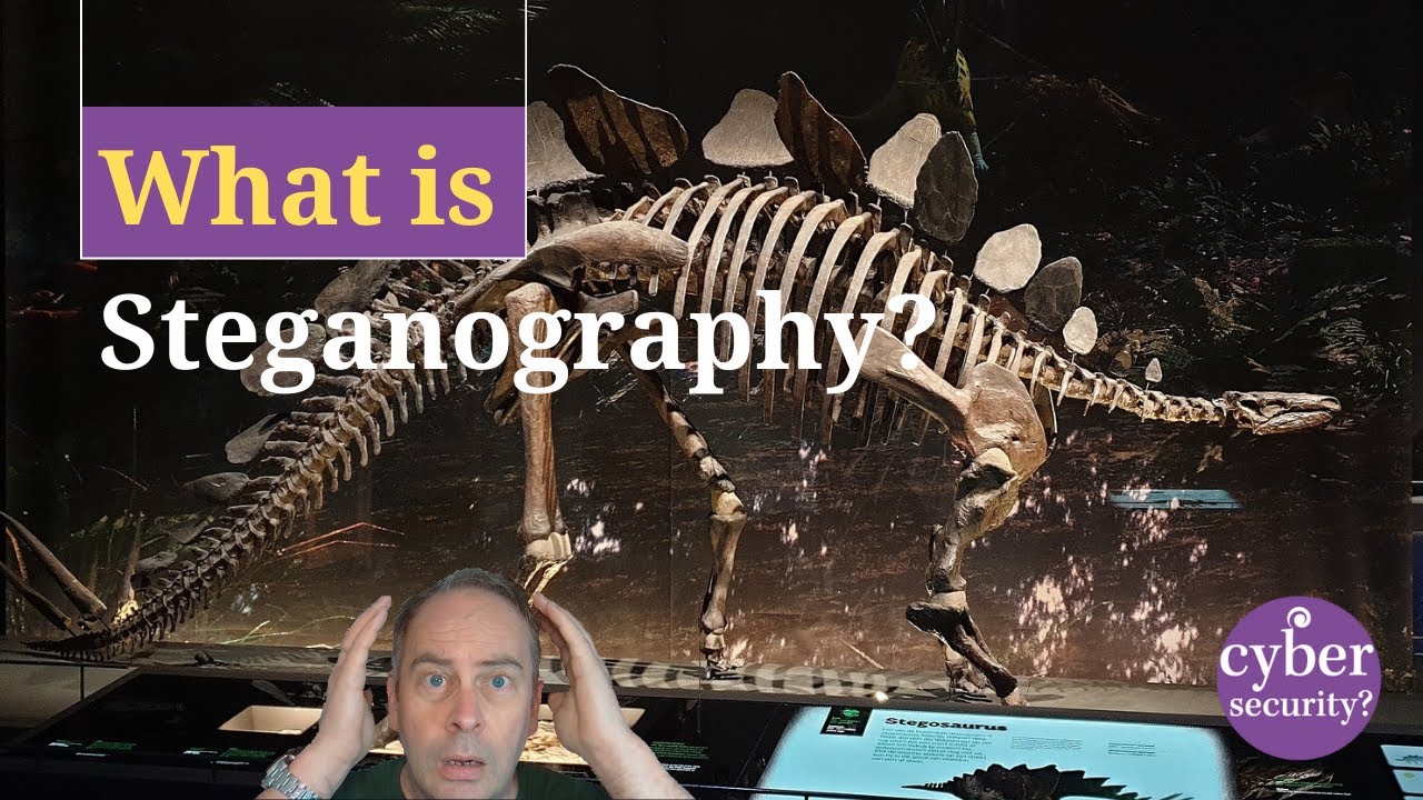 What Is Steganography? Discover the Hidden Art of Secret Communication 🕵️♂️