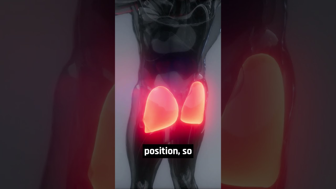 What Makes Load Cell Brakes Important? #simracing #iracing #assettocorsa #gt7 #forza #drift #acc