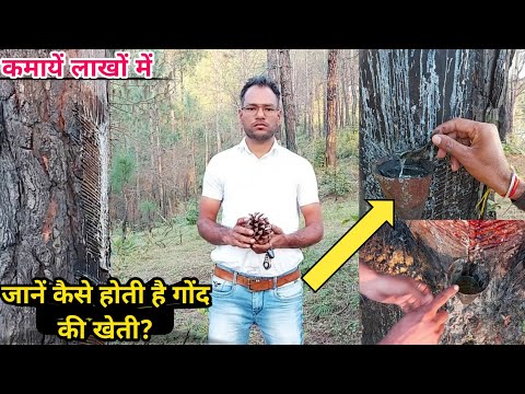 Agriculture Expert