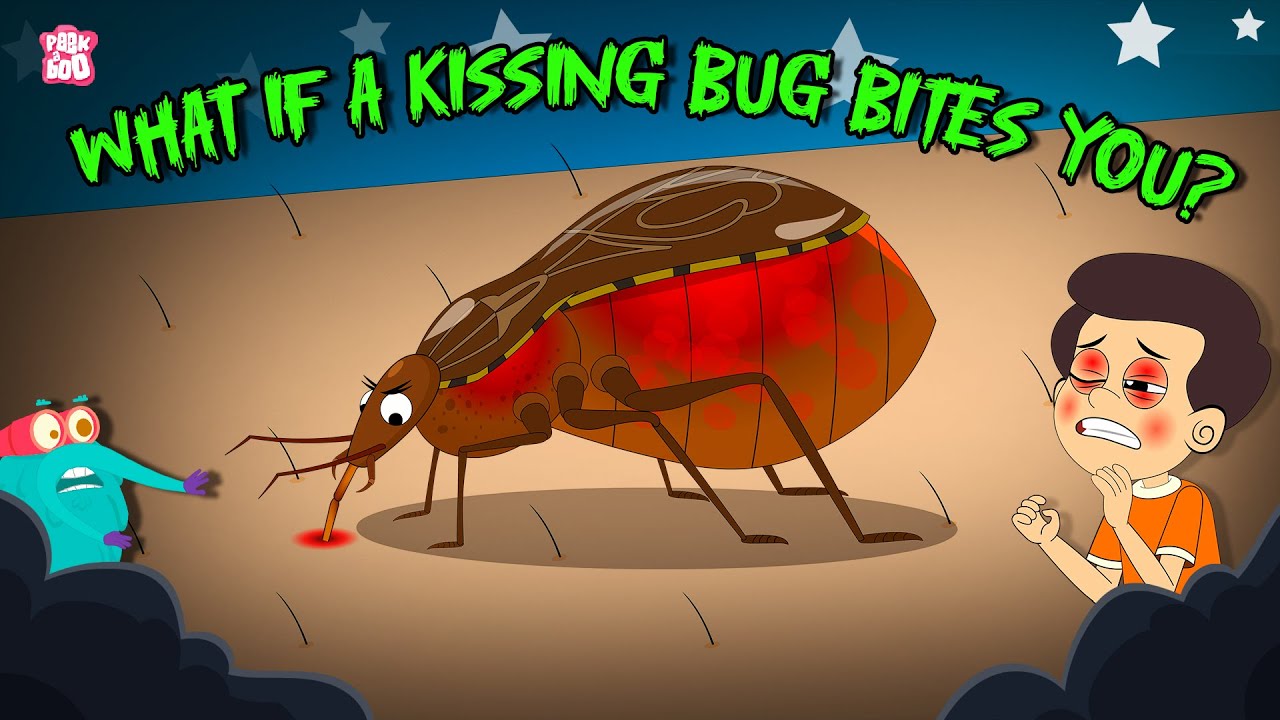 What Happens If a Kissing Bug Bites You? 🐞 | Are Kissing Bugs Dangerous? | Dr. Binocs Show