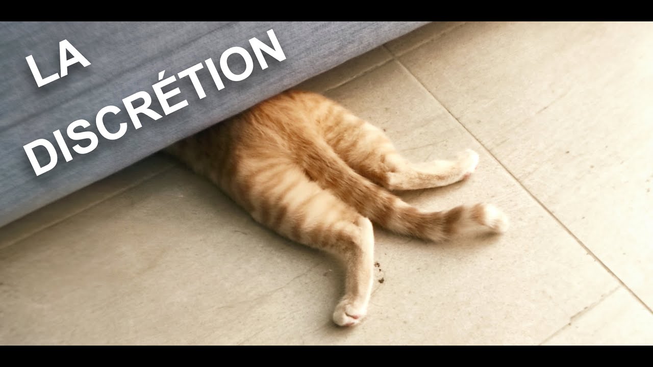 LA DISCRÉTION