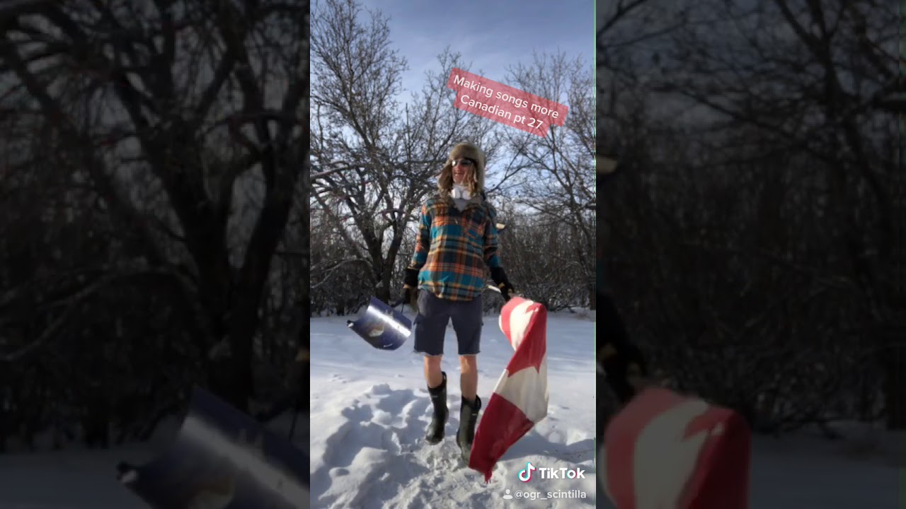 Alright by Kendrick Lamar Canadian Remix - (TikTok by @ogr_scintilla)