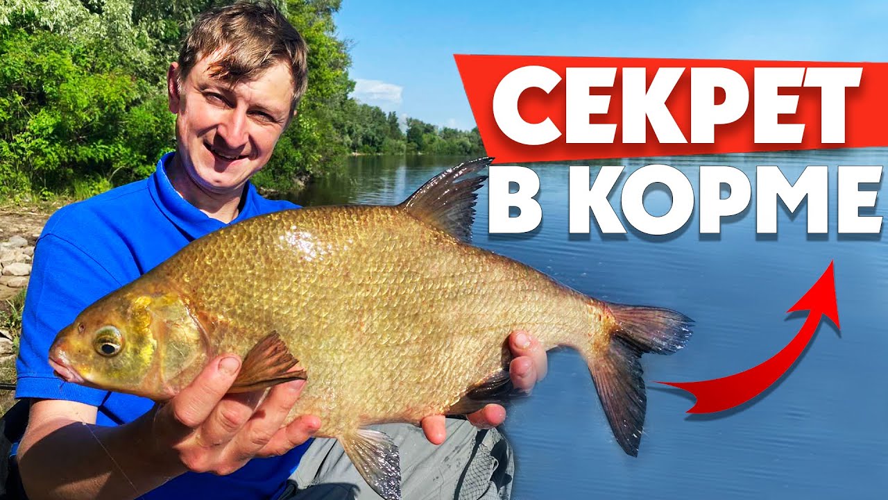 Ловим крупного леща на реке: секреты успешной фидерной рыбалки 🎣