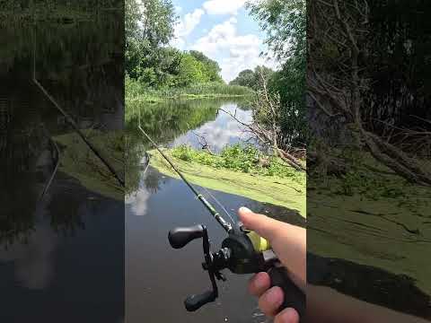 Лайфхак для ловли щуки в траве/коряжнике. #рыбалка #fishing