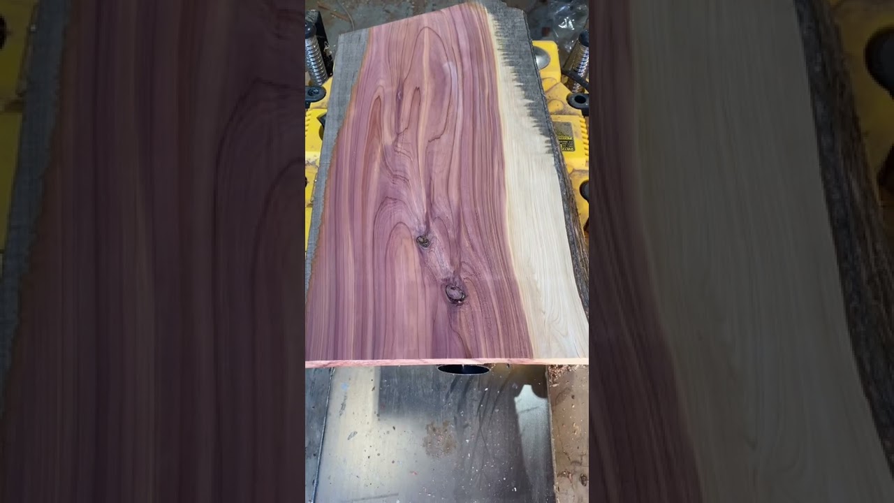 Discover the Beauty and Uses of Eastern Red Cedar 🌲 #Cedar #Lumber