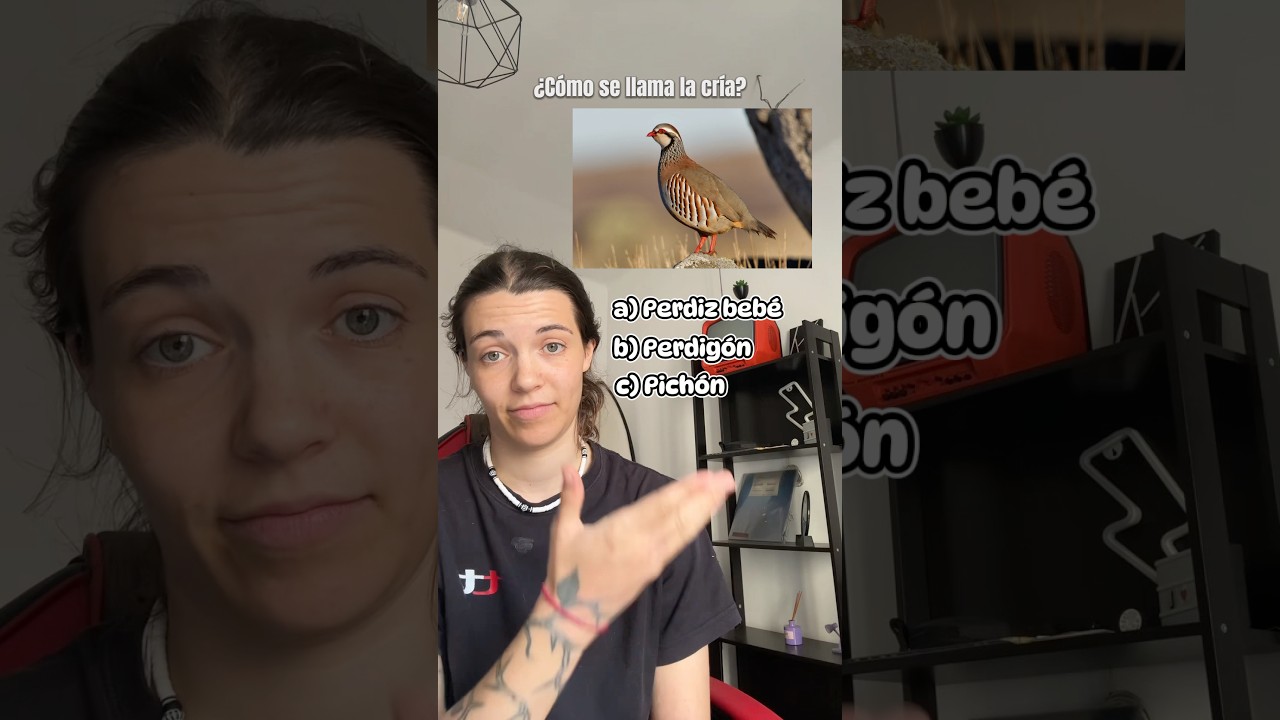 Laura || Atríviate! 🎯