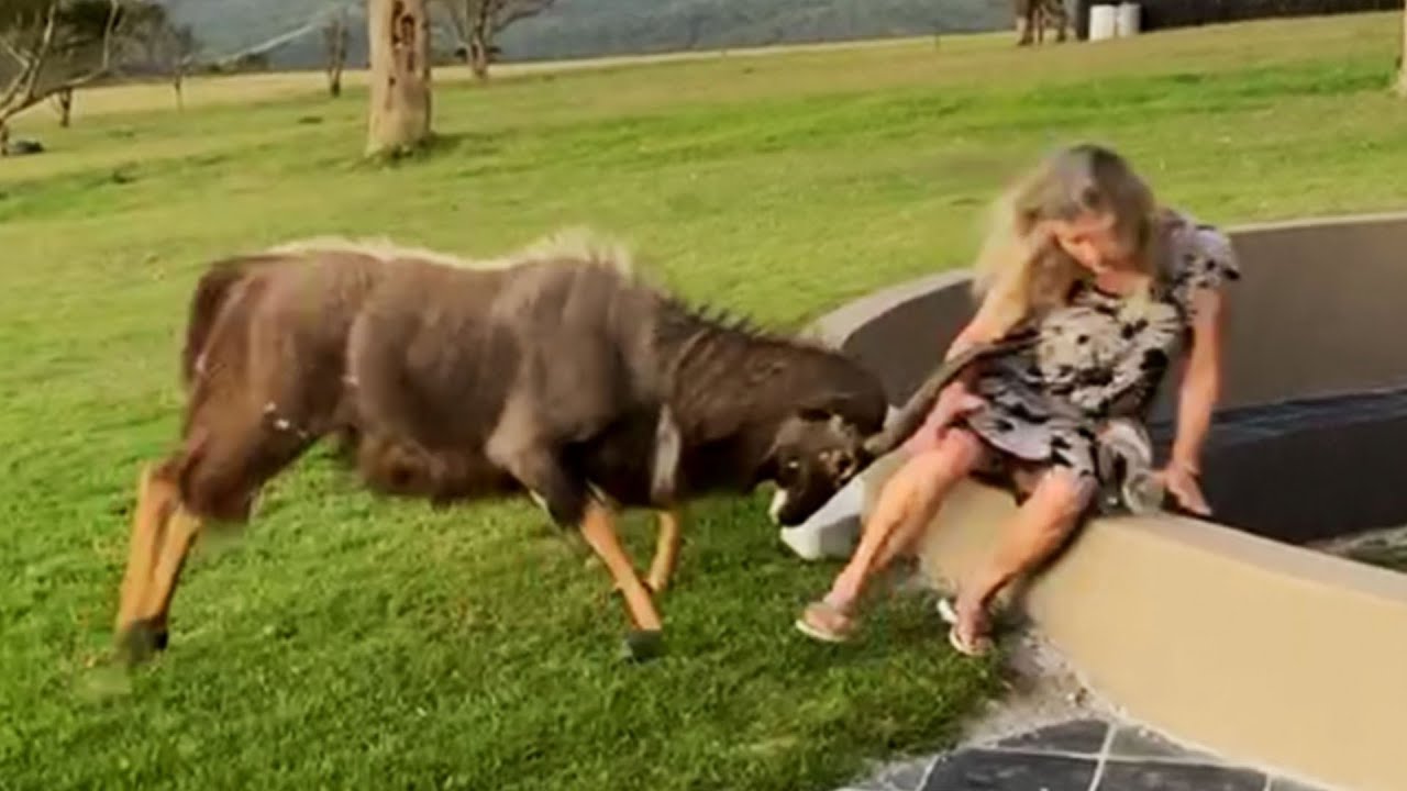 Top 10 Hilarious Fail Moments of the Decade 😂