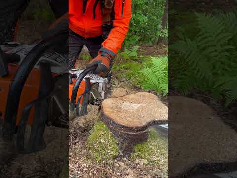 500i Schaldämpfer vergleich!! #forstwirtschaft #forsttechnik