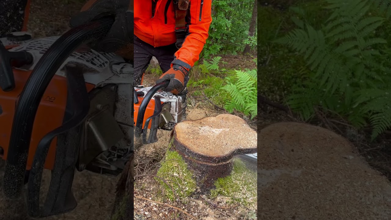 🔥 500i Schaldämpfer im Vergleich – Finden Sie den besten für Ihre Forsttechnik!