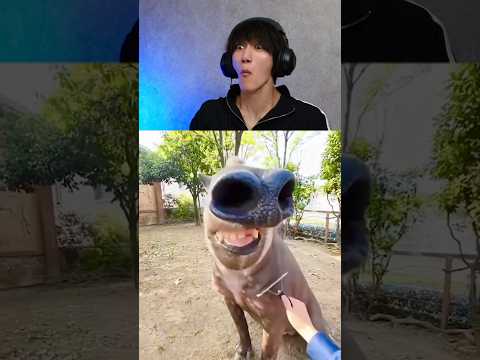 Try not to Laugh Game!