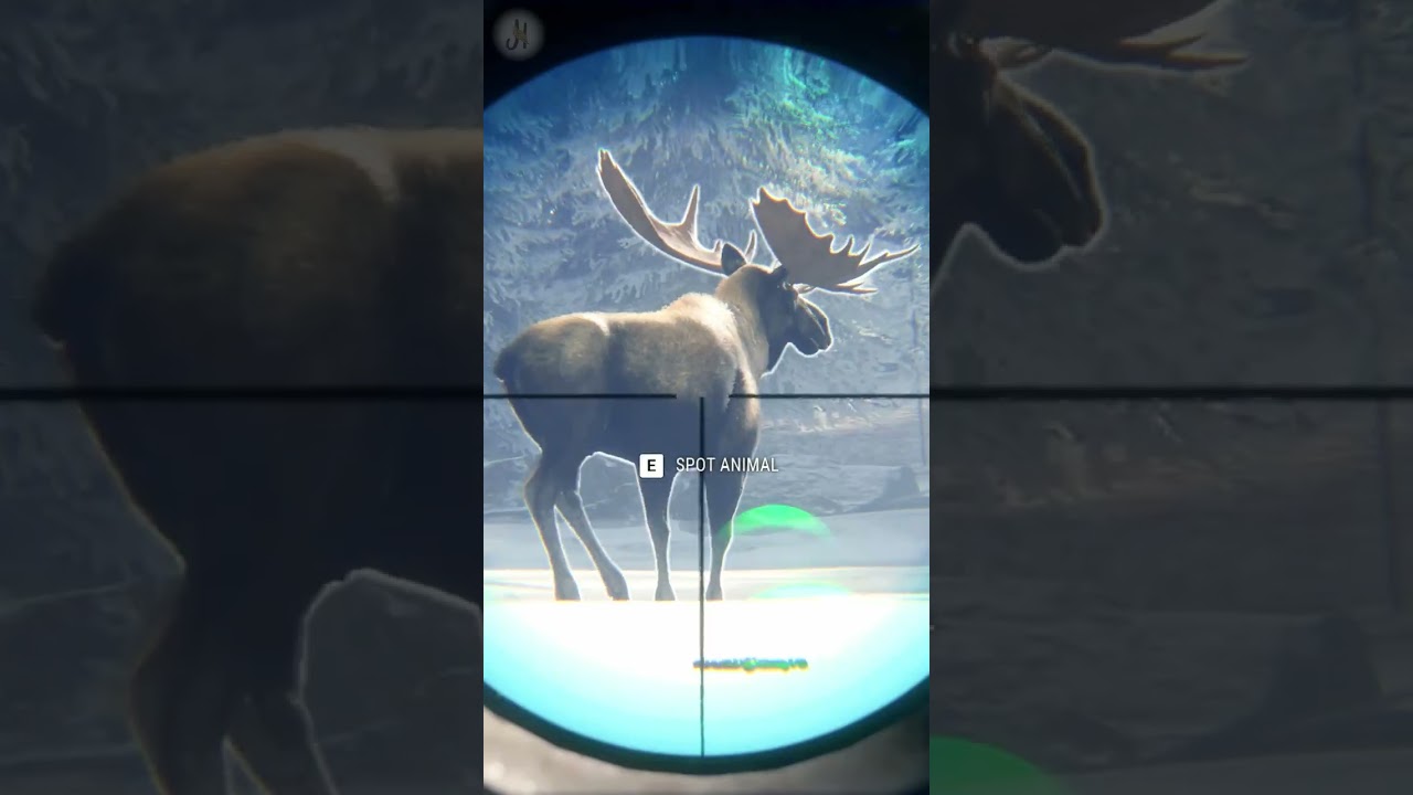 Foolish Moose Hunt on Medved Taiga 🦌