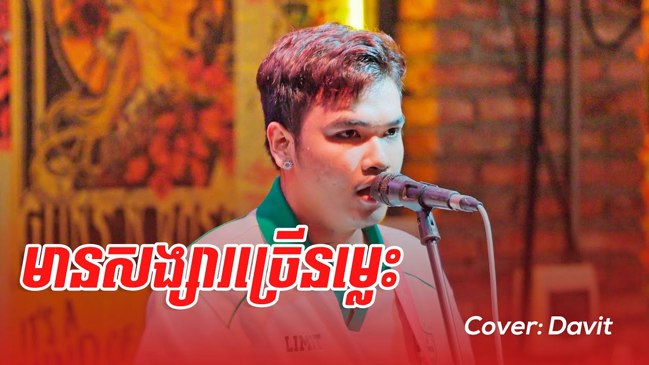 មានសង្សារច្រើនម្លេះ | Davit Live Band Cover