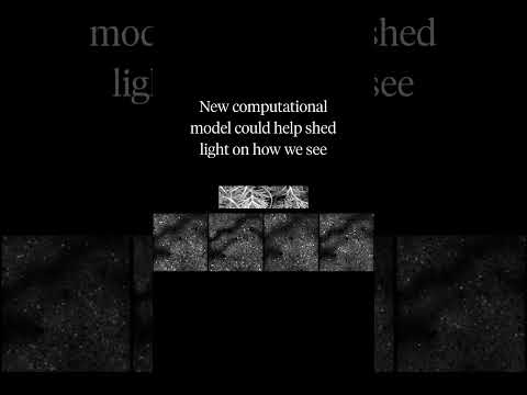 👀New computational model could help shed light on how we see #science #research #neuralnetworks